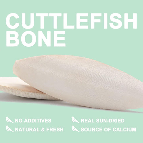 Natural Cuttlebone for Birds with Holder for Bird Cage - 2PCS (3.9-4.5", Parakeets, Canaries, Cockatiels)