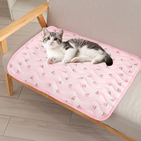 Pet Cooling Mat, Washable Ice Silk Cooling Mat for Dogs and Cats, Pet Summer Cooling Bed for Cats, Portable Pet Cooling Cushion for Kennel Sofa Bed Floor Home Outdoor (M, Pink)