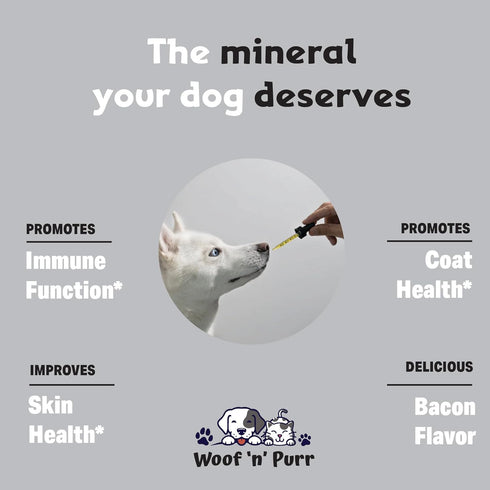 Zinc for Dogs - Dog Zinc Supplement, Supports Healthy Skin, Coat, Immune Health & More, Skin and Coat Supplement for