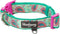 Blueberry Pet Soft & Comfy Paisley Flower Dog Collar, Neoprene Padded, Emerald Green, Large, Neck 18-26, Dog Collars