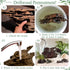 Hamiledyi Natural Driftwood for Aquarium Decor, Sinkable Reptile Wood Branches for Fish Tank Habitat