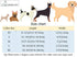 ARING PET Dog Collar with Bowtie - Adjustable Collars for Small, Medium, Large, and X-Large Dogs