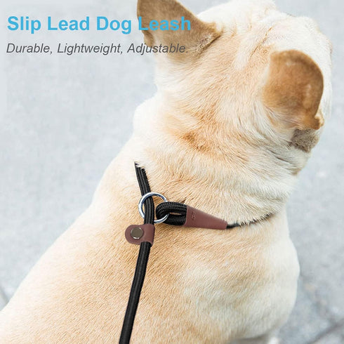 MayPaw Slip Lead Control Leash for Dogs - 7FT No Pull Classic Dog Leash in Dark Green, 13+ Colors