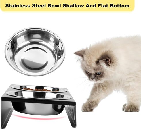 Elevated Cat Bowls, 5° Tilted Raised Metal Bowl with 2 Thick Stainless Steel 13.5 oz Bowls