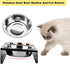 Elevated Cat Bowls, 5° Tilted Raised Metal Bowl with 2 Thick Stainless Steel 13.5 oz Bowls