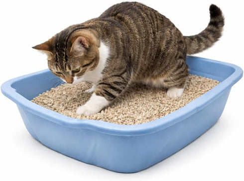 Large Cat Litter Pan Blue, Open Top Kitty Litter Box Tray for Indoor Cats, High Side Design for Cleaner Floors, Easy