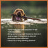 Wildfang Olive Wood Chewing Stick - 100% Natural Dog Toy for Dental Care & Training