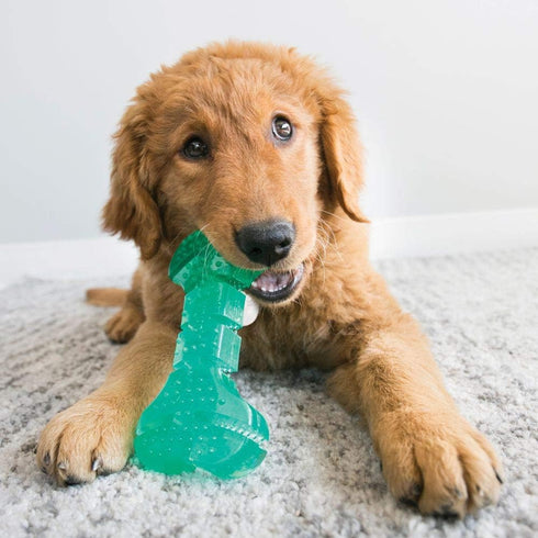 KONG Squeezz Dental Stick - Dog Toy for Cleaning Teeth - Flexible Chew Toy for Gentle & Mild Chewers - for Medium/Large