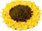 Snuffle Mat for Dogs Sunflower, Large Dog Snuffle Mat 19 x 19,