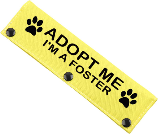 JXGZSO Adopt Me I’m A Foster Leash Sleeve Wrap, Dog Gift for Dog Owners