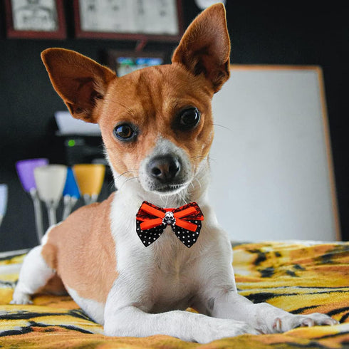 Halloween Dog Bow Ties, 10Pcs Adjustable Neckties for Small Medium Dogs, Pumpkin Skull Ghost Witch Pet Grooming