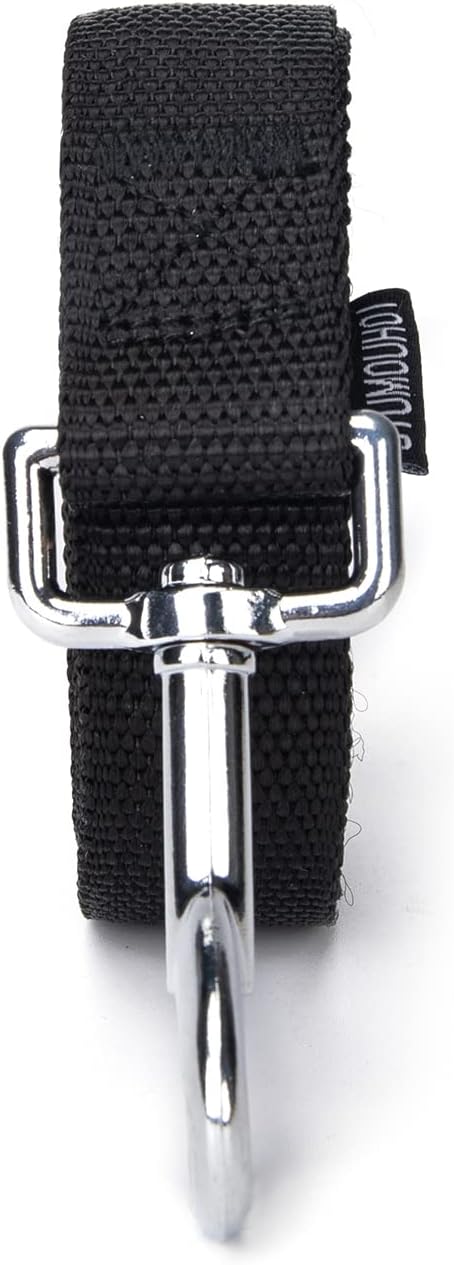 Strong Durable Nylon Dog Training Leash, 1 Inch Wide, 6 ft, 10 ft, 15 ft Long for Small and Medium Dogs (Black, 10 Feet)