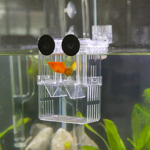 Senzeal Aquarium Fish Breeder Box, Plastic Isolation Breeding Box for Baby Fish, Shrimp, Clownfish, Guppy