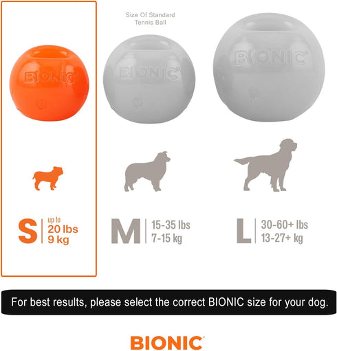 BIONIC Ball Dog Toy, Small - Interactive Chew Toy for Dogs up to 20 lbs (9 kg), Stands Up to Tough Chewers
