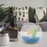 POPETPOP Clear Glass Fish Bowl, Small Goldfish Bowl Vase for Office Decor, Unbreakable Wide Bubble Terrarium