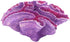 Coral Reef Aquarium Decorations, Big Fish Tank Ornaments in Pink and Purple