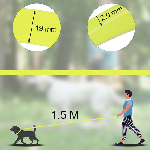 5ft Waterproof Yellow Dog Leash for Small Medium Large Dogs, Cute Color Leash for Boys Girly Dog