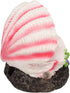 Tnfeeon Aquarium Shell Air Bubbler Decoration, Simulation Artificial Resin Fish Reservoir Ornament
