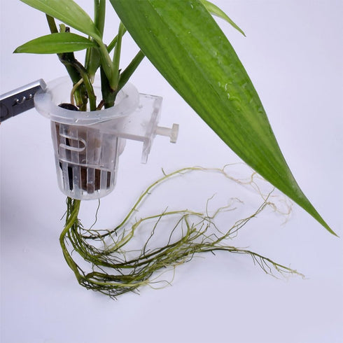 FOMIYES 4pcs Hanging Aquarium Planter, Aquatic Plant Cup for Tank Water Cultivation