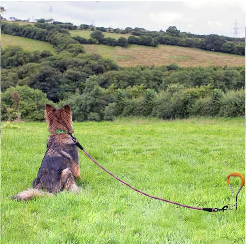 BTINESFUL 3FT Dog Tie Down, Nylon Rope Short Tether for Indoor Training and Vehicle Safety