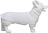 Lovelonglong Pet Clothing Dog Costumes Blank T-Shirt Tee Shirts for Dachshund Dogs, Corgi 100% Cotton White D-M