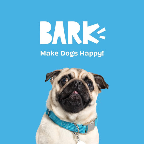 Barkbox 2 in 1 Interactive Plush Dog Toy - Rip and Reveal for Small Dogs - Penny The Pineapple