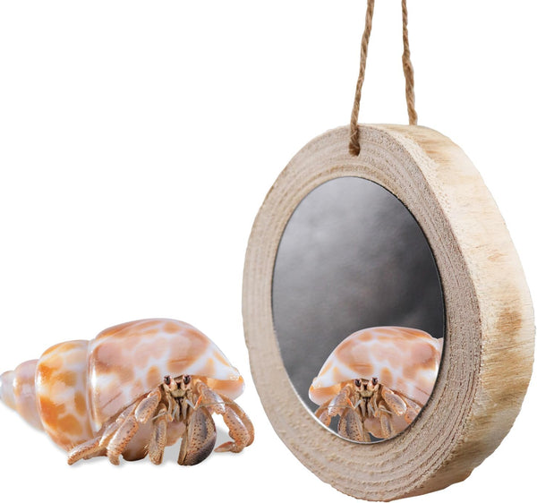 3.1 Inches Hermit Crab Mirror Toy, Reptile Mirror Toy for Small Animal Cage Tank Decor, Suitable for Hermit Crab