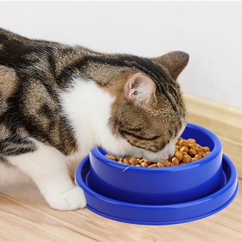 Ants Away Dog Bowl - Round No Spill Eating Feeder for Small Animals in Blue
