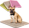 BANU Puppy Pee Pad Holder Indoor Outdoor Dog Potty Toilet Training Tray