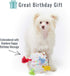 PET LONDON Dog Birthday Cake Squeaky Toy - Soft Plush with Rope Candles in Bright Colors for Dog Birthday Celebrations