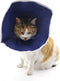 Soft Cat Recovery Collar E Collar, Nonwoven Fabric Elizabethan Collar for Cats and Puppies, Easy to Eat (M)