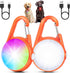 DAAMENT 2 Pack Dog Collar Light, 4 Modes Clip On Dog Lights for