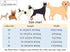 ARING PET Cute Fall Dog Collar with Bow, Adjustable Halloween Orange Grid Bowtie Collar for Small Medium Large Dogs