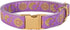 Pet Moons Stars Suns Dog Collar Cat Collar, Multiple Designs Crescent Celestial Leash Harness