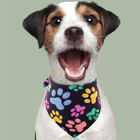 50Pcs PET SHOW Paw Pattern Dog Bandanas Bulk Washable Puppy Girl Boy Triangle Bibs Accessories for Small Medium Dogs