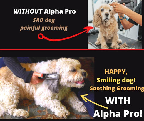 MISTIC COOL Alpha Pro - Dog Trimmer for Grooming, Painlessly Safely Removes Knots Tangles from Long Haired Dog,