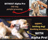 MISTIC COOL Alpha Pro - Dog Trimmer for Grooming, Painlessly Safely Removes Knots Tangles from Long Haired Dog,