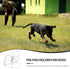 8Pcs Toddmomy Transparent Dog Wall Pee Pad Holder with Nonslip Base for Puppy Training Secure Potty Training Pad Clips