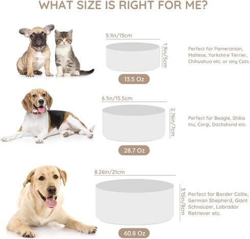 SPUNKYJUNKY 28.7OZ Ceramic Dog and Cat Bowl, Modern Weighted Food Water Bowl Replacement White (1 Pack)