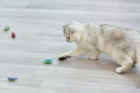 fatdaa Exercise2pcs Cat Toys Teaser InteractiveMini Electronic Robot Beetle Funny cat Toy, Cat Bug Educational Toy