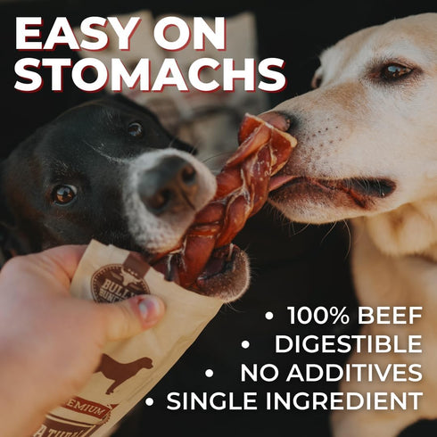 6 Inch 100% (6 Bully Bunches Premium Jumbo Odor-Free Bully Sticks for Medium & Large Dogs - Consistently Sized, Long