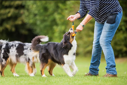 Small Dog Treat Pouch, Hands-Free Pet Treat Bag for Training, Clip Carrier