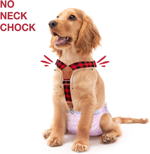 2 Pet Soft Dog Suspenders Pieces Female Dog Diaper Suspenders for Dogs Diaper Keeper Suspender for Dogs Skirt, Dogggy