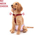 2 Pet Soft Dog Suspenders Pieces Female Dog Diaper Suspenders for Dogs Diaper Keeper Suspender for Dogs Skirt, Dogggy