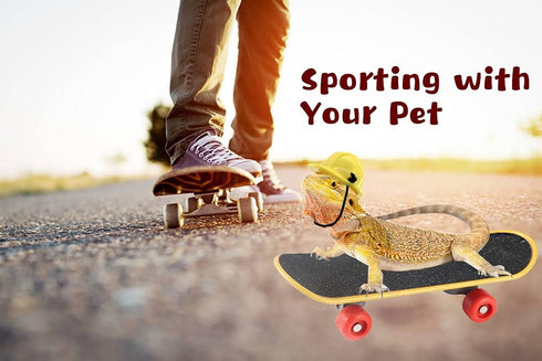 Vehomy Bearded Dragon Accessories - Small Engineer Hat for Bearded Dragon, Mini Scooter for Hamster, 3Pcs