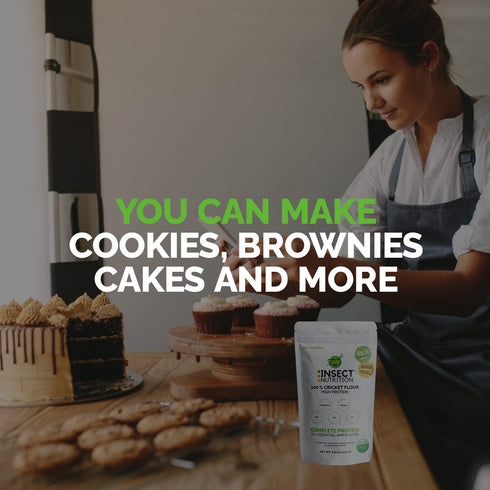 8.82 oz,, 65% 3 6, IN INSECT NUTRITION Cricket Flour High Protein Protein, Omega and Rich in Fiber and prebiotics