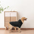 BINGPET Dog Hoodies - Fleece Lined Fall Sweatshirt for Small Medium Large Dogs & Cats