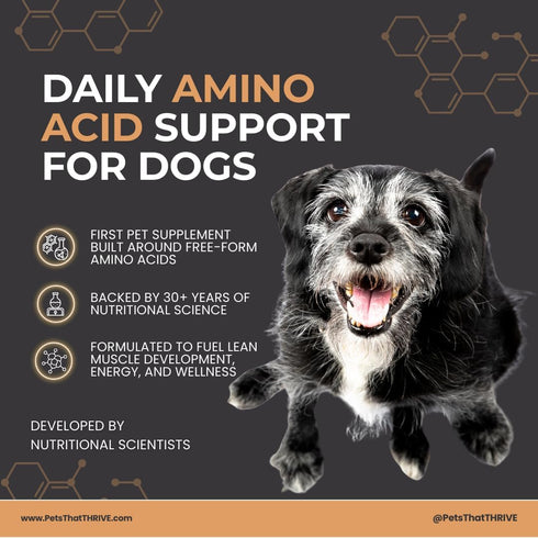 THRIVE Pet Nutrition 30 Count (4.8oz) Thrive Daily Amino Acids for Dogs Muscle Health, Recovery, Energy & Longevity