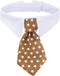 ZTON Handcrafted Adjustable Bowtie for Little Puppy, Formal Collar Neck Tie for Dogs & Cats (S, Coffee Star)