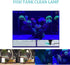 3W Submersible Aquarium Blue Light, Waterproof Lamp with Timer for Fish Tank & Sump Swim Pool